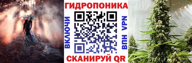МАРИХУАНА семена Санкт-Петербург