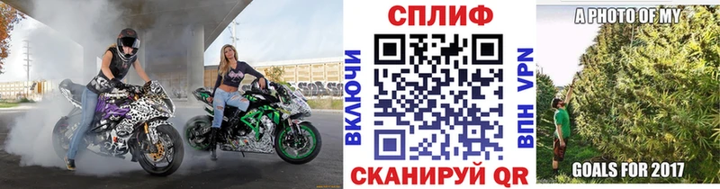 где найти   Санкт-Петербург  Бошки Шишки Ganja 